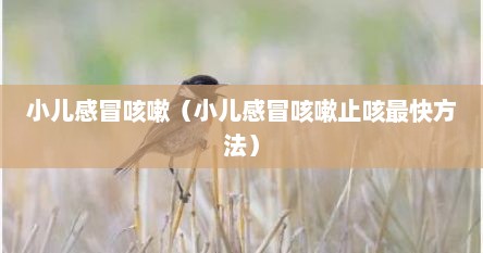 小儿感冒咳嗽（小儿感冒咳嗽止咳最快方法）