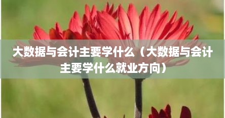 大数据与会计主要学什么（大数据与会计主要学什么就业方向）