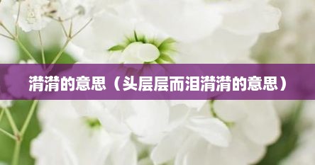 潸潸的意思（头层层而泪潸潸的意思）