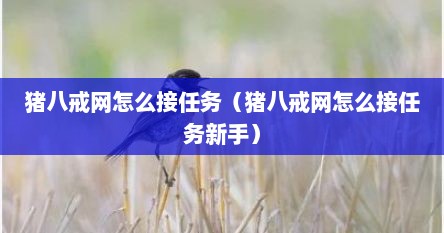 猪八戒网怎么接任务（猪八戒网怎么接任务新手）