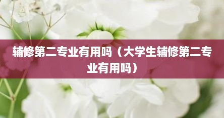 辅修第二专业有用吗（大学生辅修第二专业有用吗）