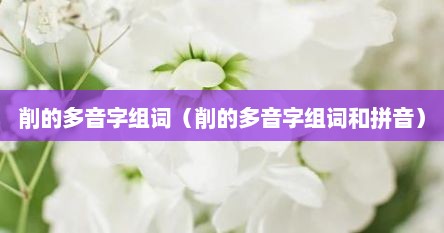 削的多音字组词（削的多音字组词和拼音）