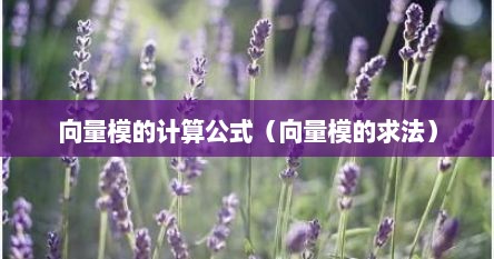 向量模的计算公式（向量模的求法）