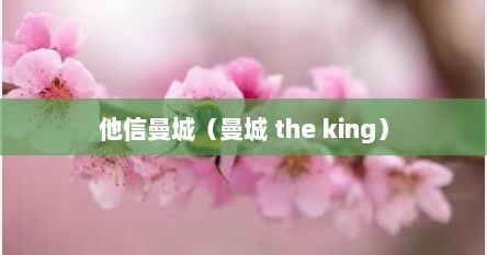 他信曼城（曼城 the king）