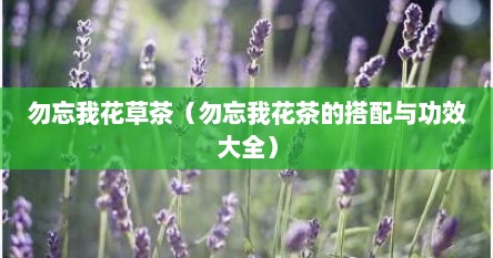 勿忘我花草茶（勿忘我花茶的搭配与功效大全）