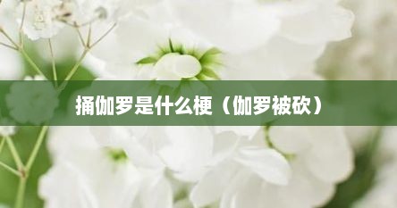 捅伽罗是什么梗（伽罗被砍）