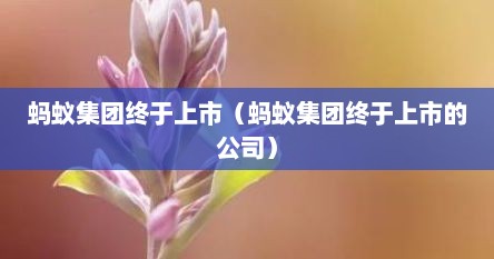 蚂蚁集团终于上市（蚂蚁集团终于上市的公司）