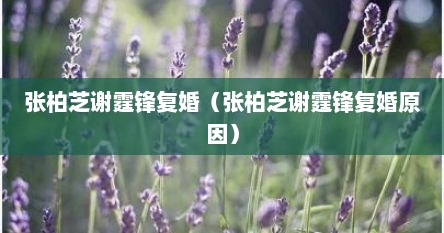 张柏芝谢霆锋复婚（张柏芝谢霆锋复婚原因）