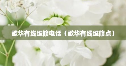 歌华有线维修电话（歌华有线维修点）