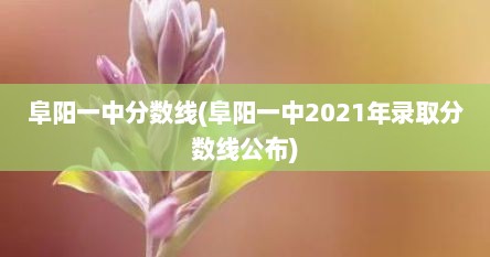 阜阳一中分数线(阜阳一中2021年录取分数线公布)