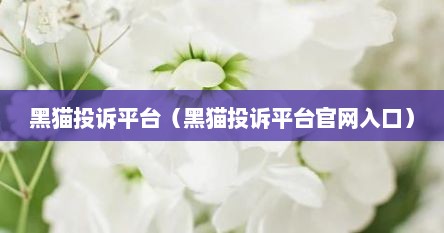 黑猫投诉平台（黑猫投诉平台官网入口）