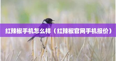 红辣椒手机怎么样（红辣椒官网手机报价）