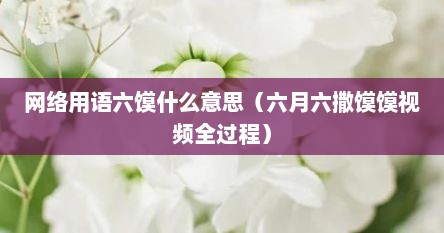 网络用语六馍什么意思（六月六撒馍馍视频全过程）