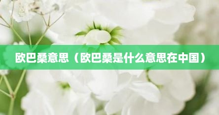 欧巴桑意思（欧巴桑是什么意思在中国）