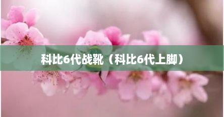 科比6代战靴（科比6代上脚）