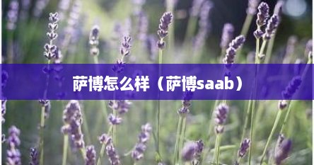 萨博怎么样（萨博saab）