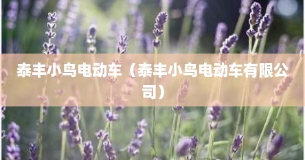 泰丰小鸟电动车（泰丰小鸟电动车有限公司）