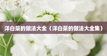 洋白菜的做法大全（洋白菜的做法大全集）