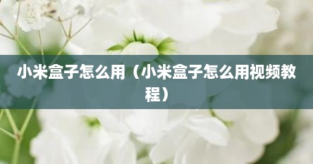 小米盒子怎么用（小米盒子怎么用视频教程）