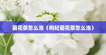 菊花茶怎么泡（枸杞菊花茶怎么泡）