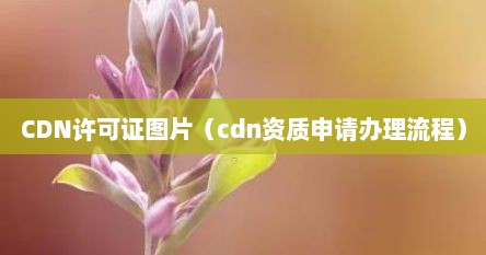 CDN许可证图片（cdn资质申请办理流程）