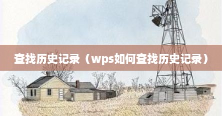 查找历史记录（wps如何查找历史记录）