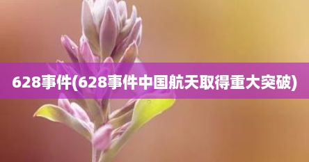 628事件(628事件中国航天取得重大突破)