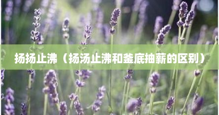 扬扬止沸（扬汤止沸和釜底抽薪的区别）