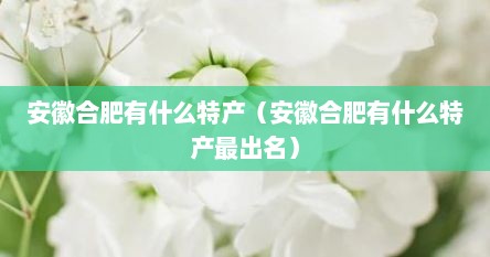 安徽合肥有什么特产（安徽合肥有什么特产最出名）