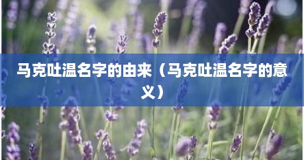 马克吐温名字的由来（马克吐温名字的意义）