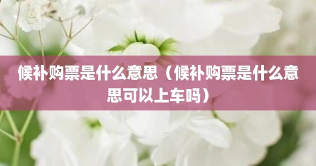 候补购票是什么意思（候补购票是什么意思可以上车吗）