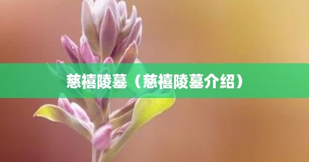 慈禧陵墓（慈禧陵墓介绍）