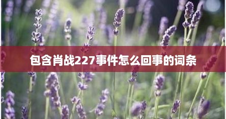 包含肖战227事件怎么回事的词条