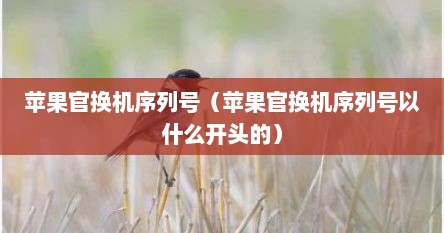 苹果官换机序列号（苹果官换机序列号以什么开头的）