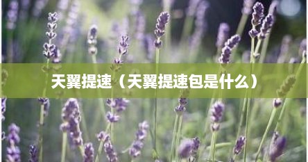 天翼提速（天翼提速包是什么）