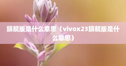 旗舰版是什么意思（vivox23旗舰版是什么意思）