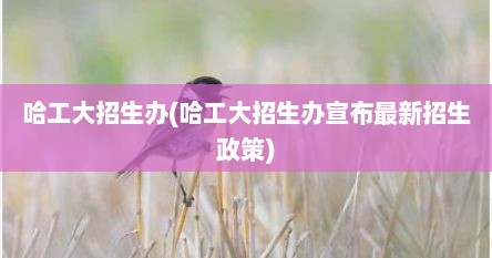 哈工大招生办(哈工大招生办宣布最新招生政策)