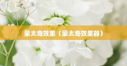 蒙太奇效果（蒙太奇效果器）