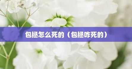 包拯怎么死的（包拯咋死的）