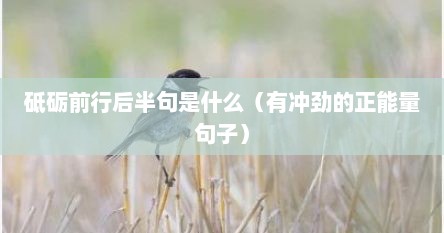 砥砺前行后半句是什么（有冲劲的正能量句子）