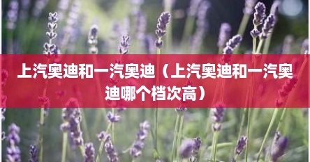 上汽奥迪和一汽奥迪（上汽奥迪和一汽奥迪哪个档次高）