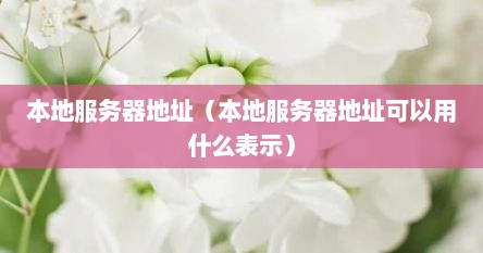 本地服务器地址（本地服务器地址可以用什么表示）