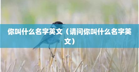 你叫什么名字英文（请问你叫什么名字英文）