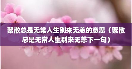 聚散总是无常人生别来无恙的意思（聚散总是无常人生别来无恙下一句）