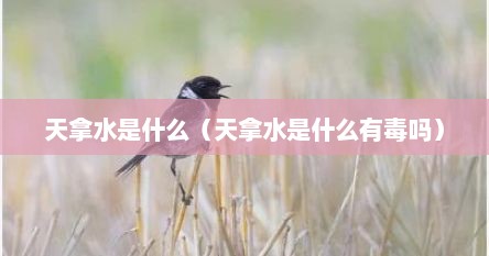 天拿水是什么（天拿水是什么有毒吗）