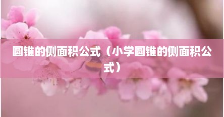 圆锥的侧面积公式（小学圆锥的侧面积公式）