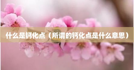 什么是钙化点（所谓的钙化点是什么意思）