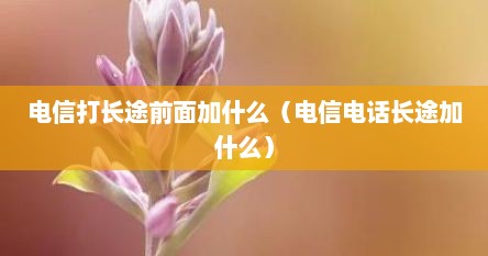 电信打长途前面加什么（电信电话长途加什么）