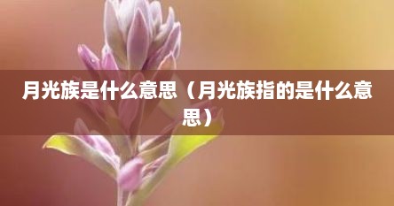 月光族是什么意思（月光族指的是什么意思）