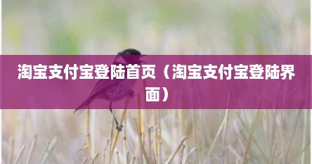 淘宝支付宝登陆首页（淘宝支付宝登陆界面）